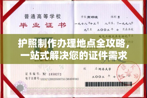 君山护照制作办理地点全攻略，一站式解决您的证件需求