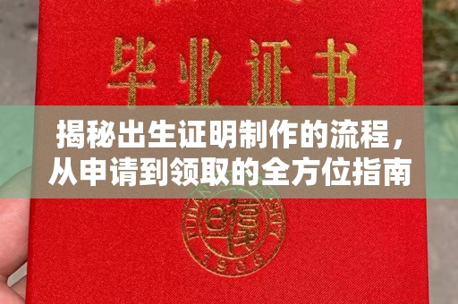 君山揭秘出生证明制作的流程，从申请到领取的全方位指南