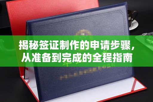 君山揭秘签证制作的申请步骤，从准备到完成的全程指南